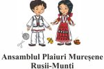 plaiuri-muresene-logo